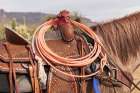 Close-up of a saddle and lariat on a horse. Art Print